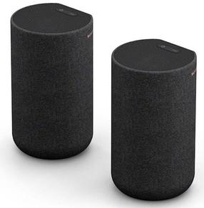 Belaidė kolonėlė Sony SA-RS5, juoda sp., 180 W