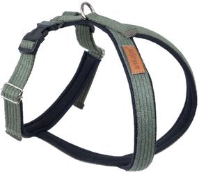 Petnešos šunims Amiplay Cotton Grand Soft, žalia sp., 340 - 430 mm, 34-43