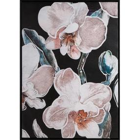 Reprodukcija Orchid, 50 cm x 70 cm