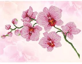 Teemantmosaiik Diamond Dotz Orchid Spray, roosa v.