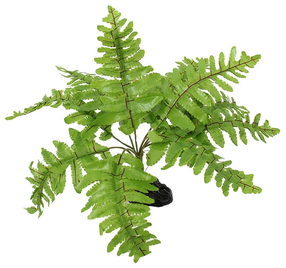 Dekoracija terariumui Repti Planet Nephrolepis Fern, 200 mm x 200 mm