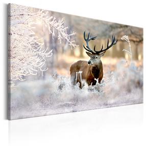 Reproduktsioon Artgeist Deer in the Cold KR42, 120 cm x 80 cm