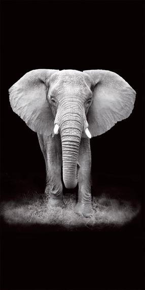 Vaikiškas rankšluostis Elephant RPG-189, juoda sp./pilka sp., 180 cm x 100 cm