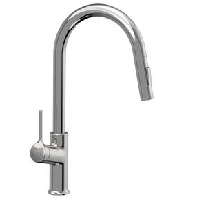 Virtuvinis maišytuvas Invena Feres BZ-41-U01-S, chromo sp.