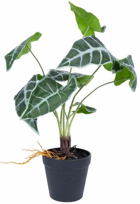 Dirbtinis augalas vazone Home4you Greenland, juoda sp./žalia sp., 40 cm