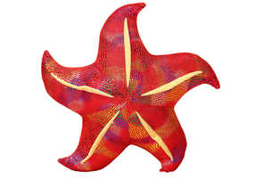 Pliušinis žaislas jūrų žvaigždė Pillow, raudona sp., 20 cm