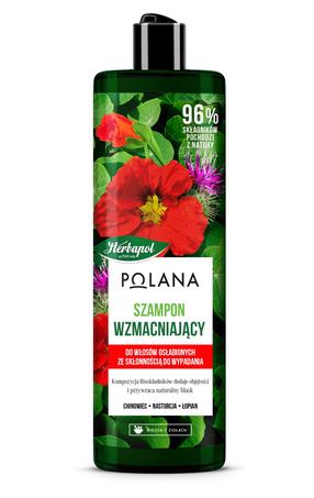 Šampoon Herbapol Polana, 400 ml