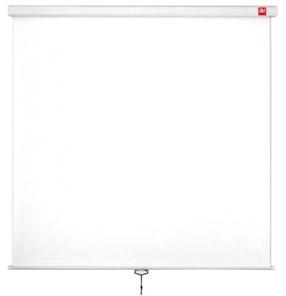 Экран для проектора AVTek Wall Projector Screen 200, 1:1