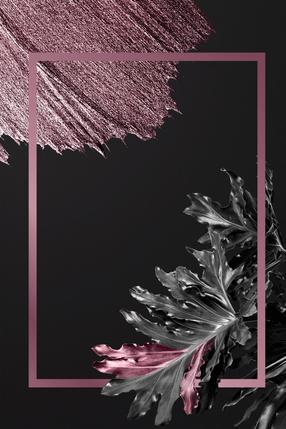 Paklāja celiņš Conceptum Hypnose HMNT791, daudzkrāsaina, 300 cm x 100 cm