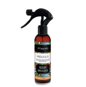 Namų kvapas Acappella Gingerbread, 0.2 l