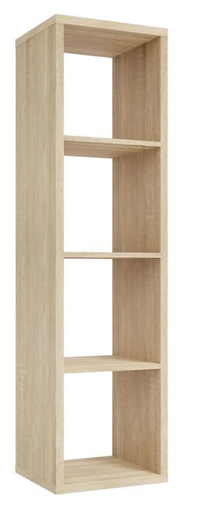 Grīdas plaukts Forte Mauro MXXR411-D30F, ozola krās., 141.8 cm x 38.2 cm x 32.9 cm