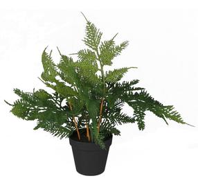Mākslīgais augs podiņā Splendid Asparagus, melna krās./zaļa krās., 45 cm x 12 cm