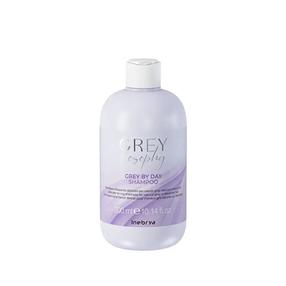 Šampūnas Inebrya Grey By Day, 1000 ml
