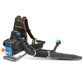 Benzīna lapu pūtējs Lawnmaster, 850 W