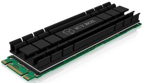 Аксессуары для воздушной системы охлаждения RaidSonic IB-M2HS-701, 8 г, черный цв.