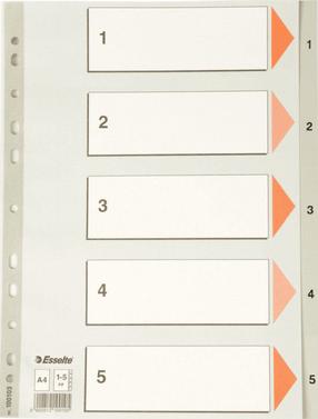 Skirtukas Esselte, A4 Balta/Oranžinė/Pilka