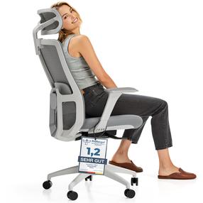 Darbo kėdė Desktronic SitOne, 60 x 67.5 x 115.5 - 125 cm, pilka sp.