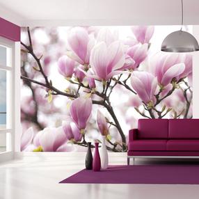 Fototapete Artgeist Magnolia Bloosom, 270 cm x 350 cm