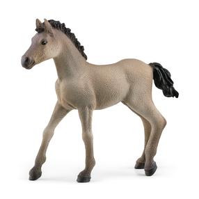Rotaļlietu figūriņa Schleich Criollo Definitivo Foal 13949, 8.3 cm, brūna krās.