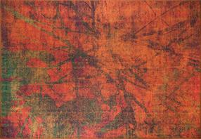 Kilimas Conceptum Hypnose Fusion Chenille 473RTP2711, oranžinė sp./žalia sp., 310 cm x 210 cm
