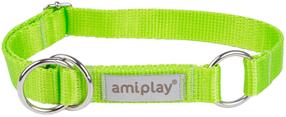 Antkaklis šunims Amiplay Samba, žalia sp., 400 - 600 mm x 25 mm, 40-60