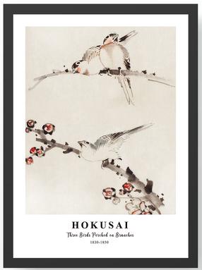 Fotomaal Wallity, sc426233-5575, 55 cm x 75 cm