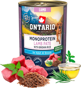 Šlapias šunų maistas Ontario Monoprotein Adult, ėriena/rudi ryžiai