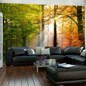 Fototapetas Artgeist Beautiful autumn, 309 cm x 400 cm
