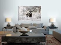 Reprodukcija Artgeist Lonely Deer N7056-DKX, 90 cm x 60 cm