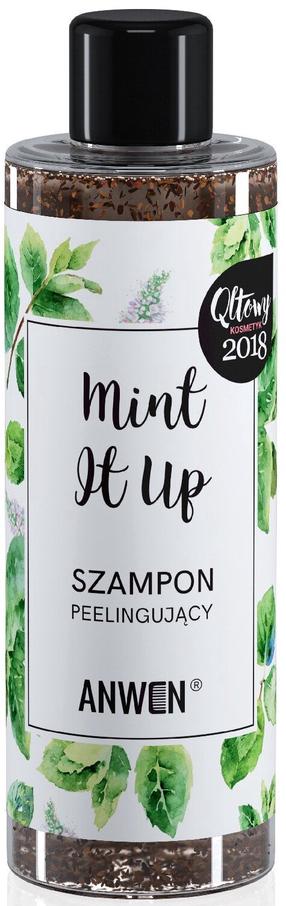 Šampoon Anwen Mint It Up, 200 ml