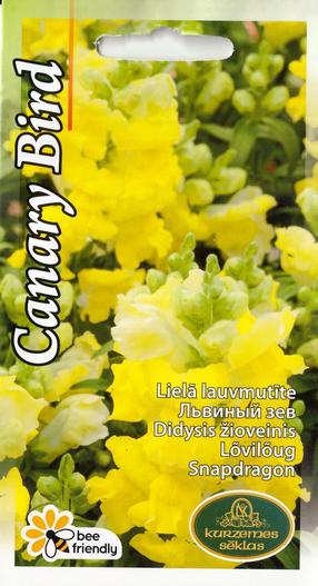 Sēklas Kurzemes sēklas lauvmutītes Canary Bird, 0.2 g