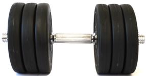 Surenkamas svarmuo Tomaz Sport Start x 17.5 kg