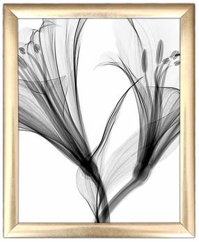 Fotomaal Wallity ACT-036, 23.5 cm x 28.5 cm