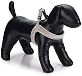 Petnešos šunims Beeztees Harness, pilka sp., 360 mm x 10 mm, XXS