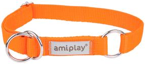 Antkaklis šunims Amiplay Samba, oranžinė sp., 400 - 600 mm x 25 mm, 40-60