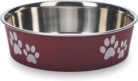 Dubenėlis gyvūnui Ascar Paw Motif SS, 1.5 l, 21.5 cm x 21.5 cm x 6.5 cm, raudona sp.
