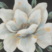 Reprodukcija Magnolia, 60 cm x 60 cm