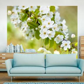 Фотообои Artgeist Beautiful Delicate Cherry Blossoms LFTNT1400SAM, 154 см x 196 см