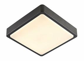 Šviestuvas lubų SLV Ainos 1003450, LED, 3000 - 4000 °K, 1 x 17 W, nėra gaubto / antracito sp., 30 x 30 cm