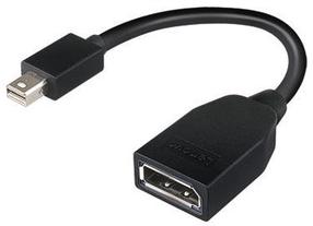 Laidas Lenovo Mini-DisplayPort to DisplayPort Mini DisplayPort male, Display port female