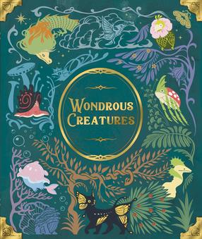 Galda spēle Bad Comet Wondrous Creatures, EN
