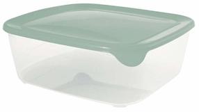Dėžutė maistui Curver Fresh & Go 0800562A87, 2.9 l, 23 cm x 23 cm, žalia sp.
