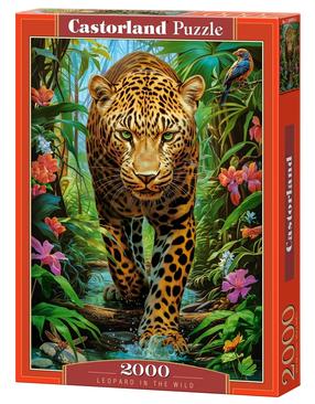 Puzle Castorland 2000 el. Leopard In The Wild 200955, 92 cm x 68 cm, 2000 gab., daudzkrāsaina