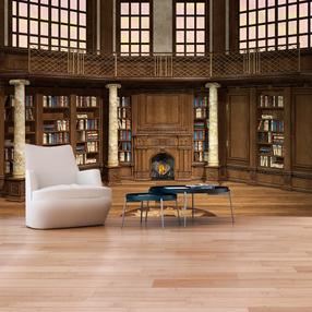 Fototapetas Artgeist Library Of Dreams 2XLFT367, 210 cm x 300 cm