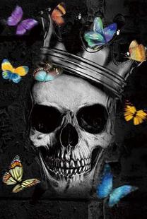 Paveikslas Skull I, 80 cm x 120 cm
