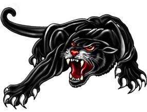 Automobilio lipdukas Avisa, 23 cm x 33 cm