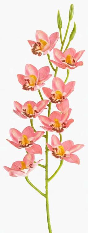 Dirbtinė šakelė, orchidėja Homla Night Garden Orkid, žalia sp./rožinė sp., 109 cm