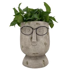 Dekoratīvais puķu pods "Seja" Garden Center NFQ2202043, 25 cm x 25 cm x 32 cm, pelēka krās.