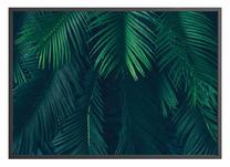 Paveikslas DecoKing Palmleaves, 70 cm x 50 cm