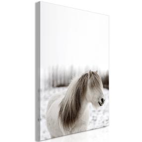 Reprodukcija Artgeist Horse Mane KR33, 80 cm x 120 cm